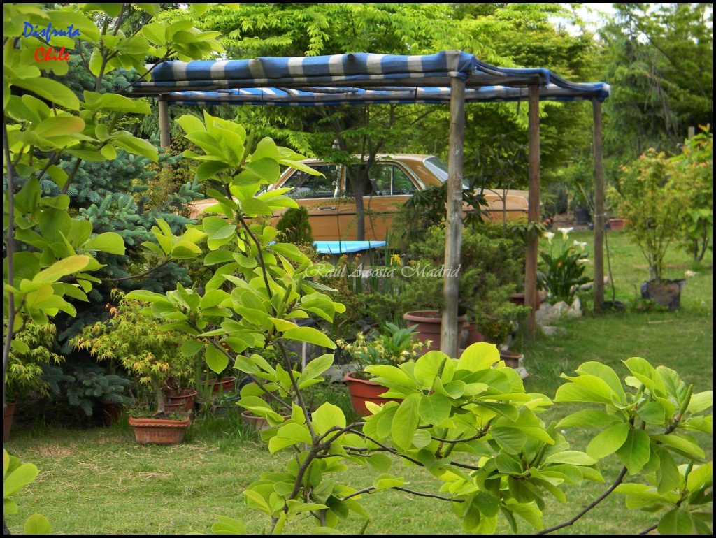 Foto de Zúñiga (Libertador General Bernardo OʼHiggins), Chile