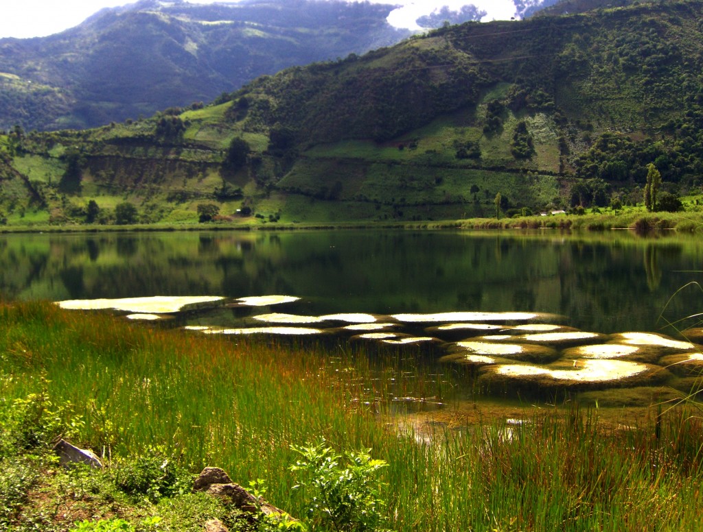 Foto de Laguna De Ortices (Santander), Colombia
