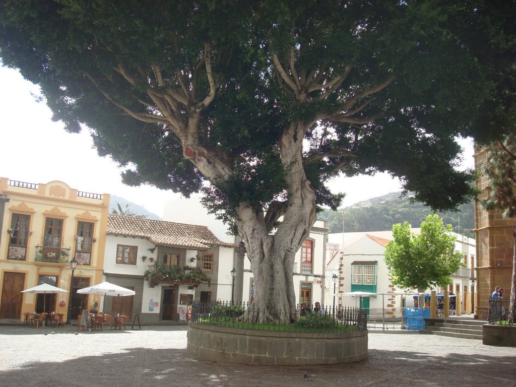 Foto de Teror (Las Palmas), España