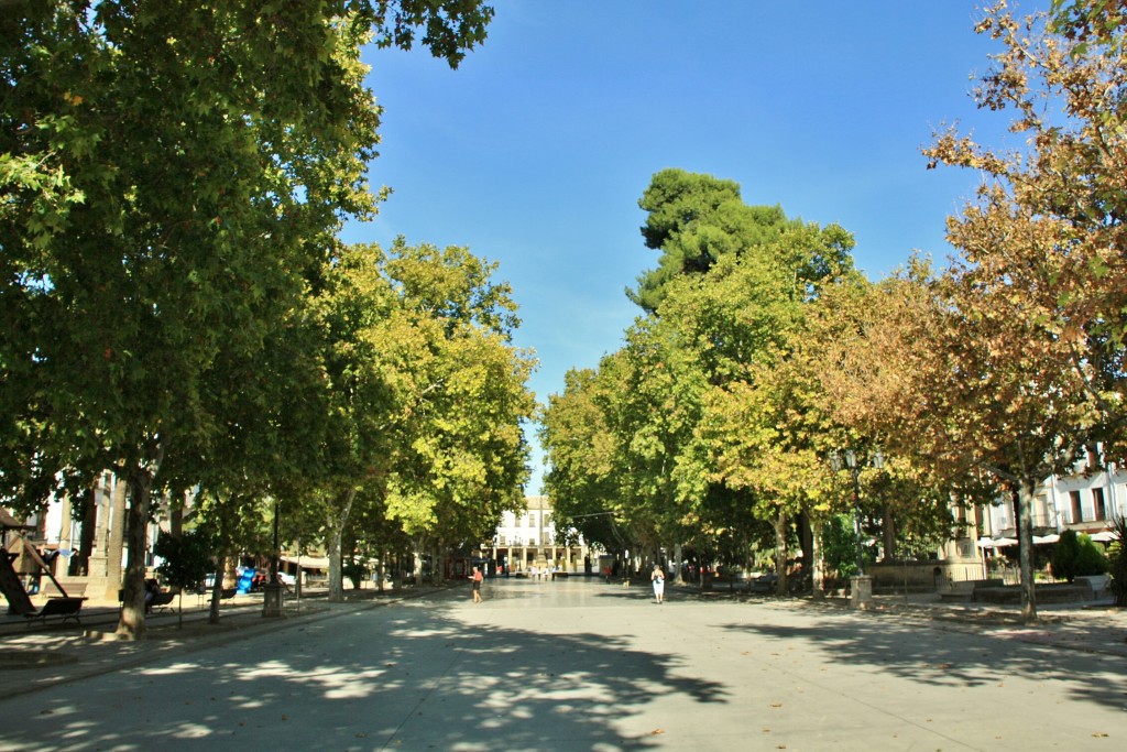 Foto: Plaza de la Constitución - Baeza (Jaén), España
