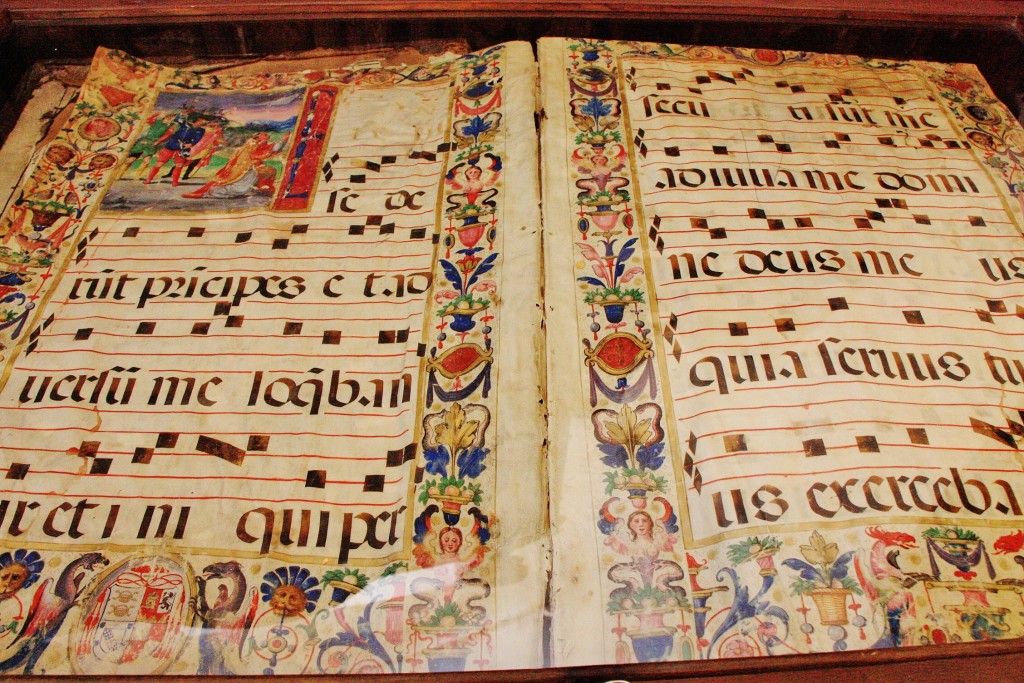 Foto: Libros en la catedral - Baeza (Jaén), España
