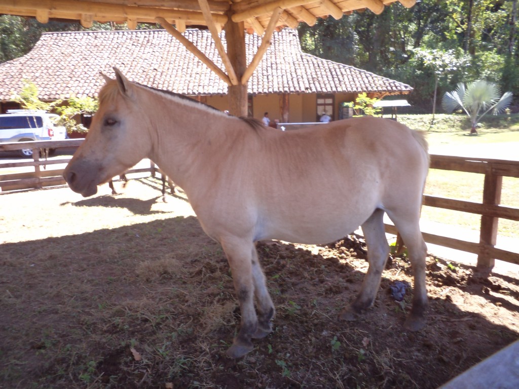 Foto de San Mateo (Alajuela), Costa Rica