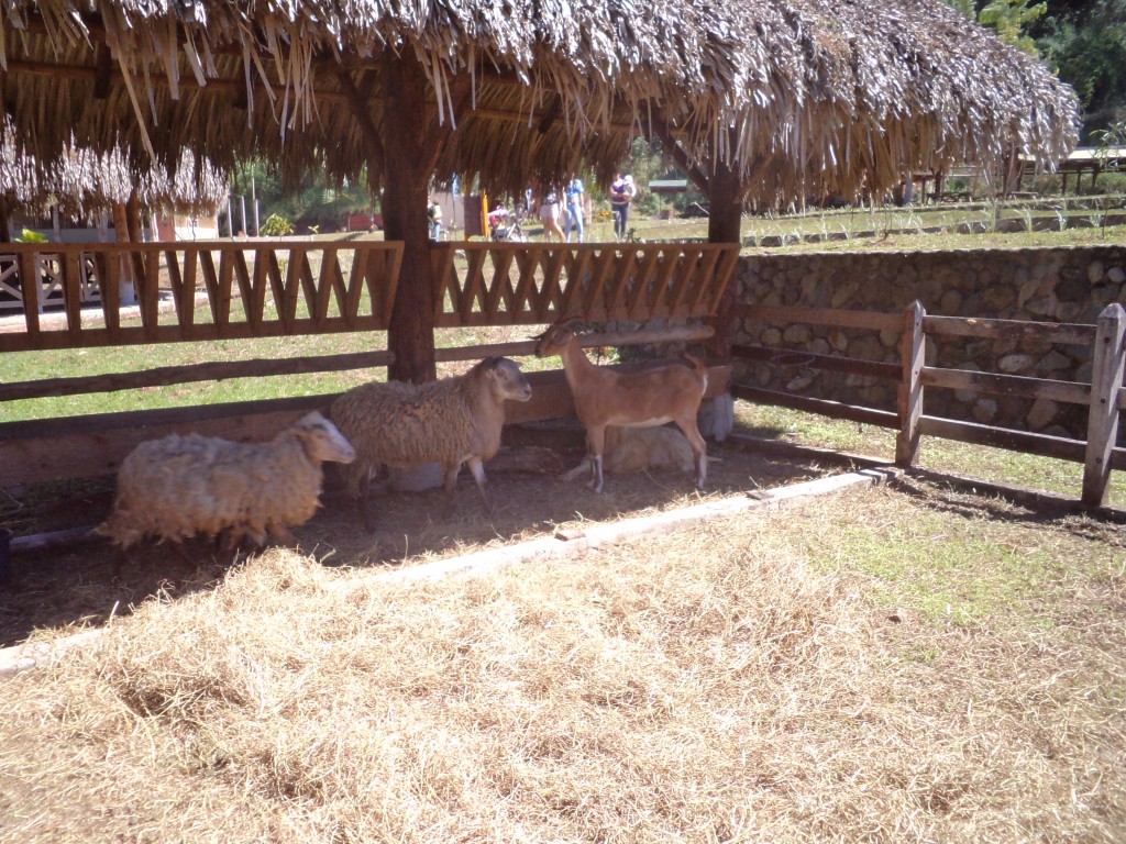 Foto de San Mateo (Alajuela), Costa Rica