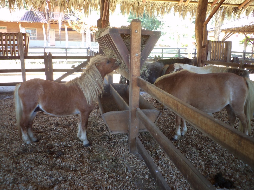Foto de San Mateo (Alajuela), Costa Rica
