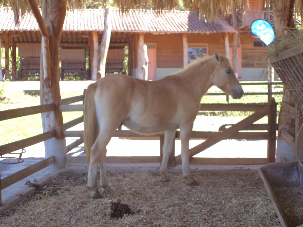 Foto de San Mateo (Alajuela), Costa Rica