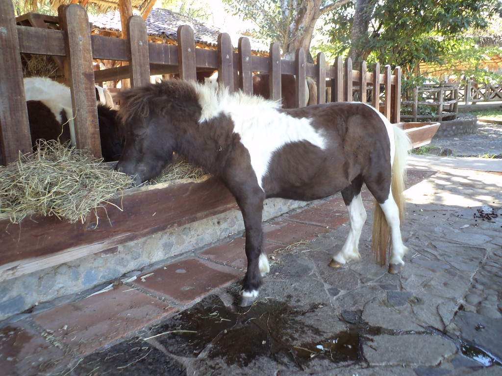 Foto de San Mateo (Alajuela), Costa Rica