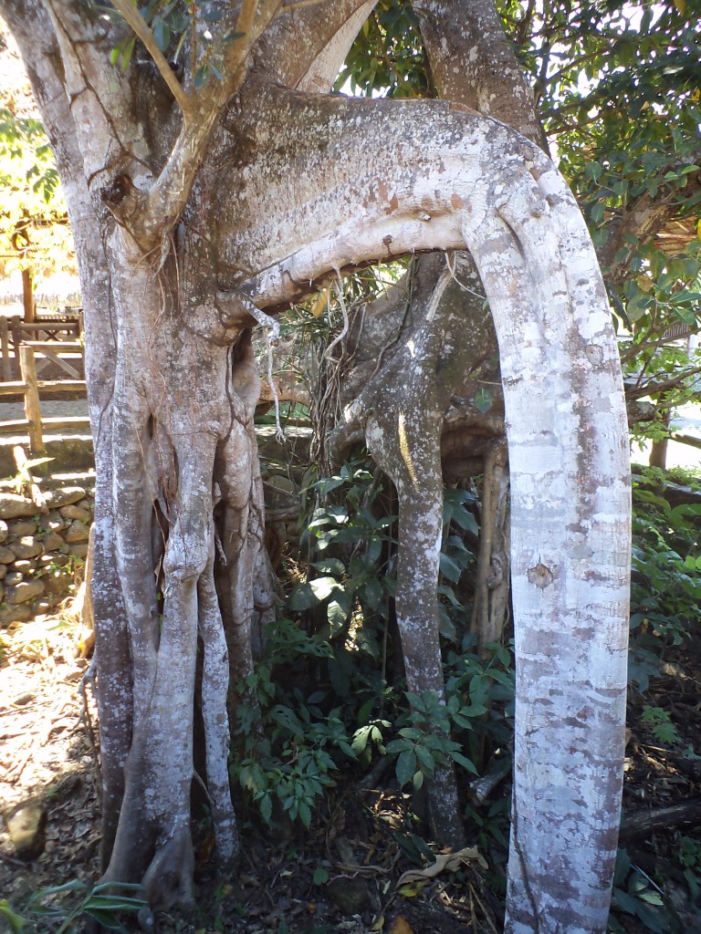 Foto de San Mateo (Alajuela), Costa Rica