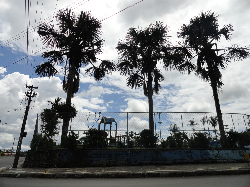 Foto: Morete Puyo - Puyo (Pastaza), Ecuador