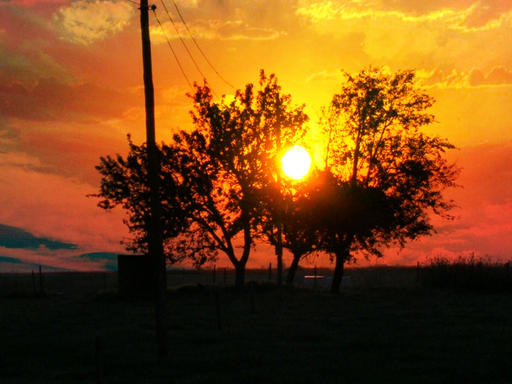 Foto: AMANECER DE VERANO - Zuares Del Paramo (León), España