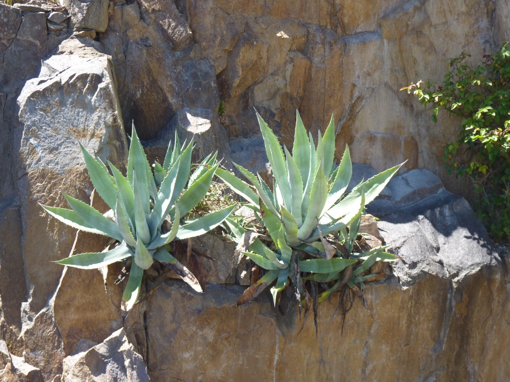 Foto: Fuerte del parque Independencia. - Tandil (Buenos Aires), Argentina