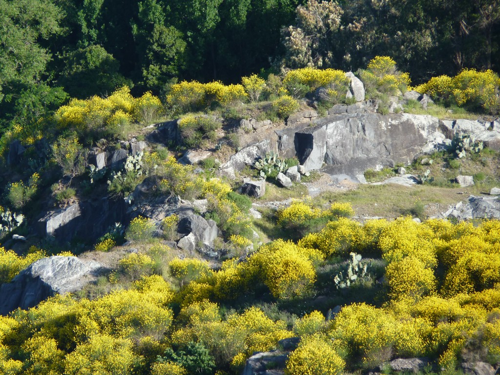 Foto: Cerro La Movediza - Tandil (Buenos Aires), Argentina