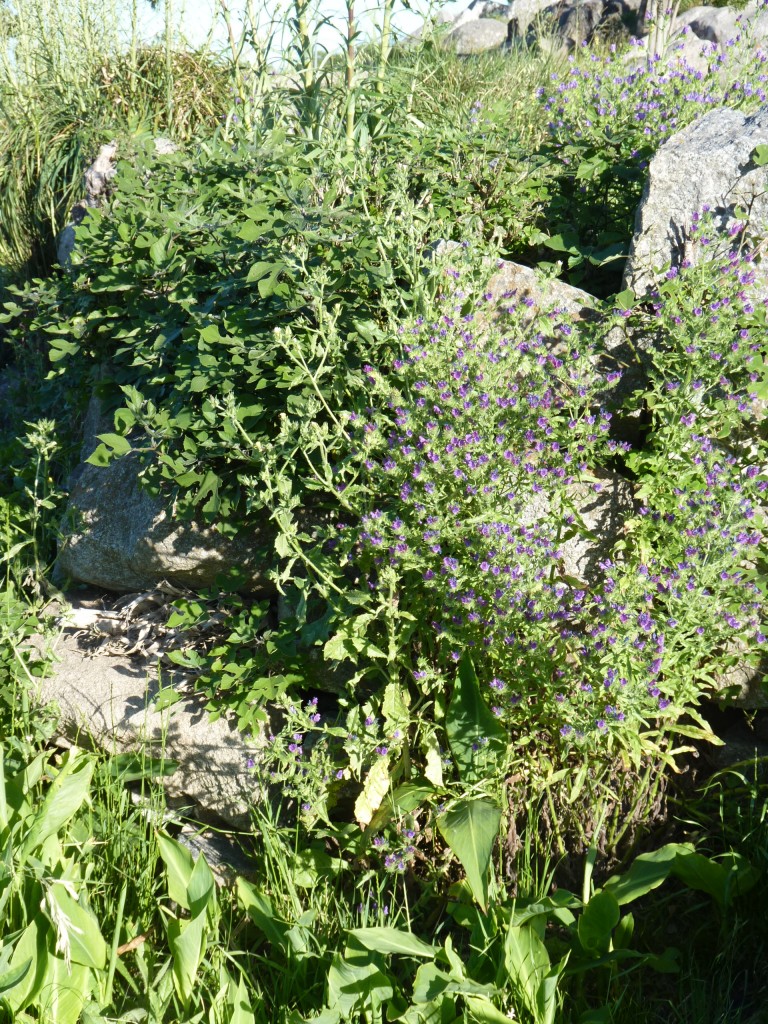Foto: Cerro La Movediza - Tandil (Buenos Aires), Argentina