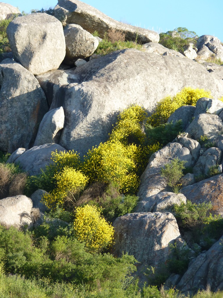 Foto: Cerro La Movediza - Tandil (Buenos Aires), Argentina