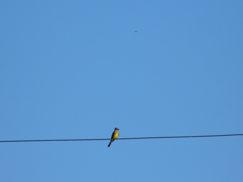 Foto: Cerro La Movediza - Tandil (Buenos Aires), Argentina