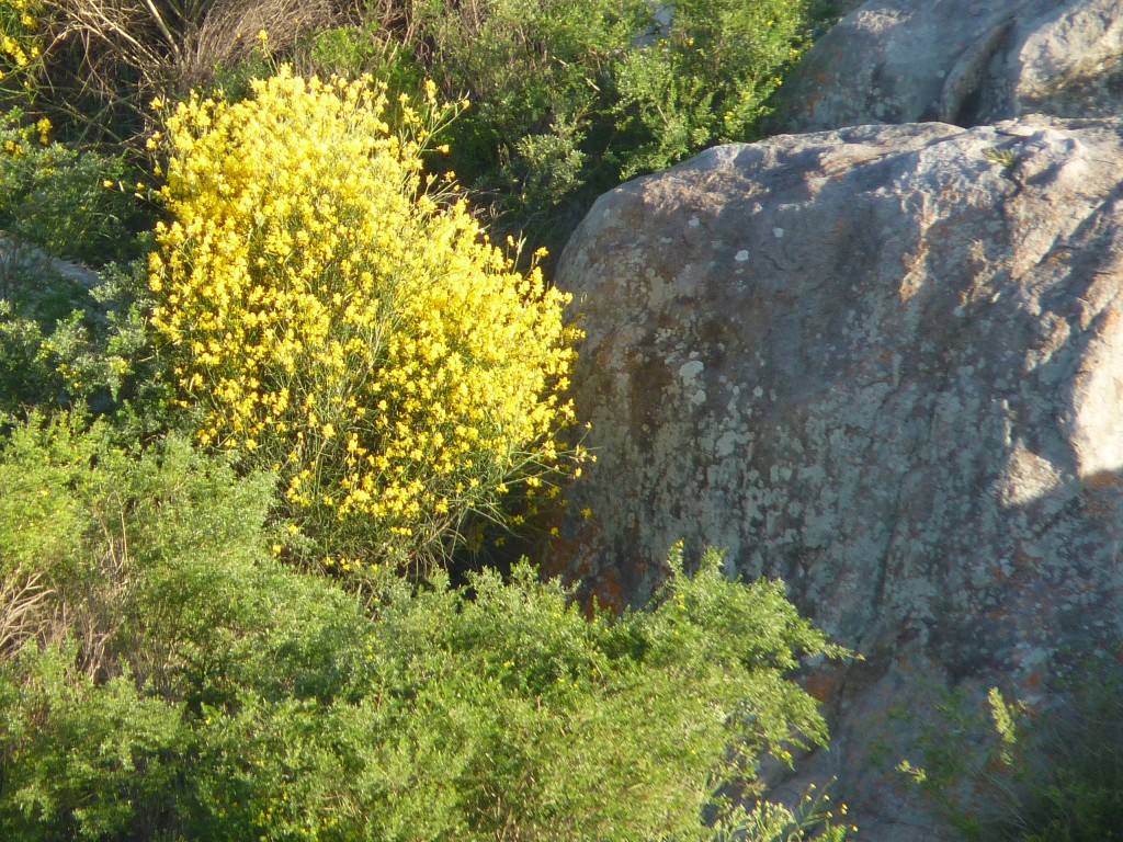 Foto: Cerro La Movediza - Tandil (Buenos Aires), Argentina