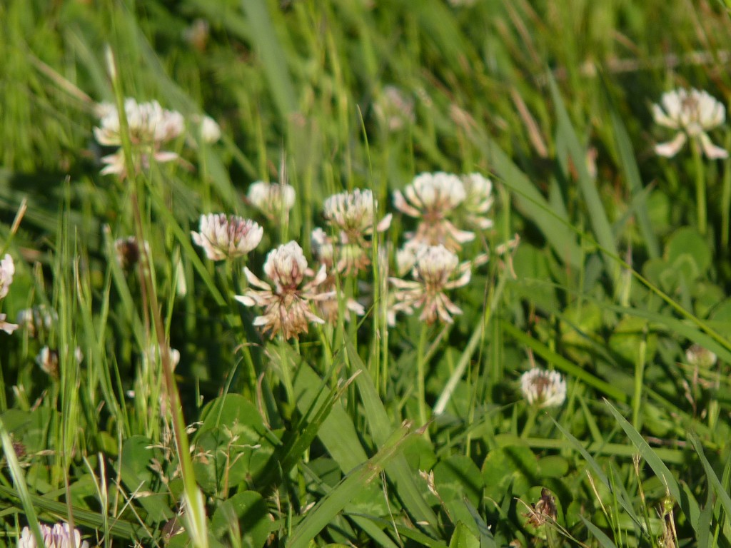 Foto: Cerro La Movediza - Tandil (Buenos Aires), Argentina