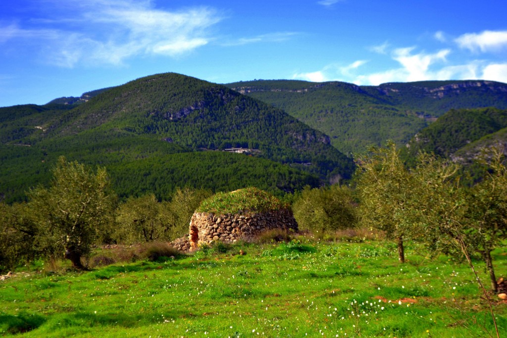 Foto: Paisatge de les Planes. - Torrelles de Foix (Barcelona), España
