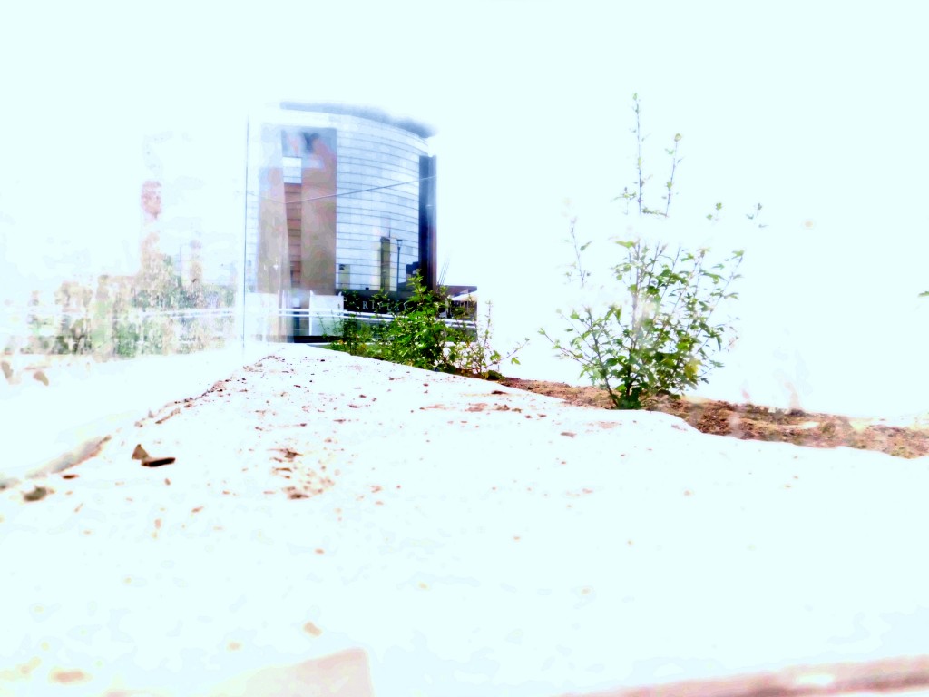 Foto: Plaza Condell - Iquique (Tarapacá), Chile