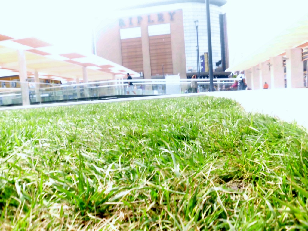 Foto: Plaza Condell - Iquique (Tarapacá), Chile