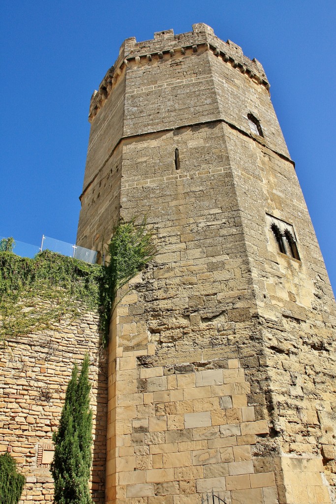 Foto: Torre Nueva del castillo - Porcuna (Jaén), España