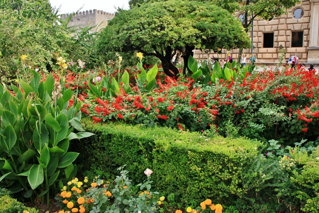 Foto: La Alhambra: jardines - Granada (Andalucía), España