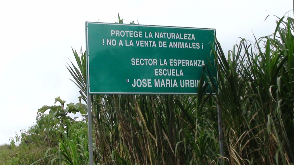 Foto: Balla publicitaria - Puyo (Pastaza), Ecuador