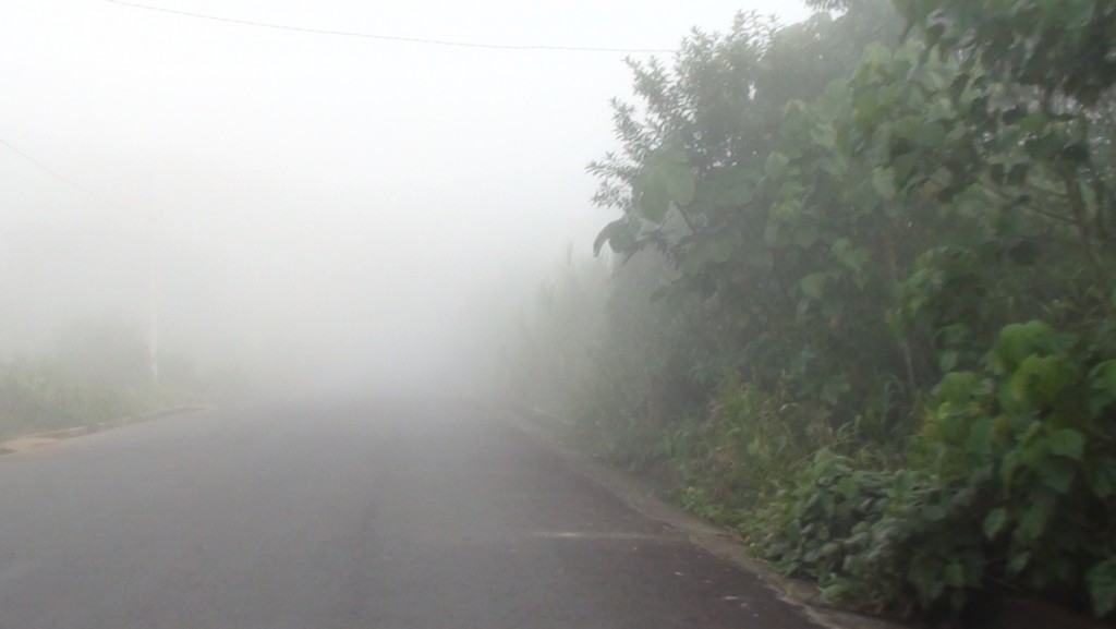 Foto: carretera - Puyo (Pastaza), Ecuador