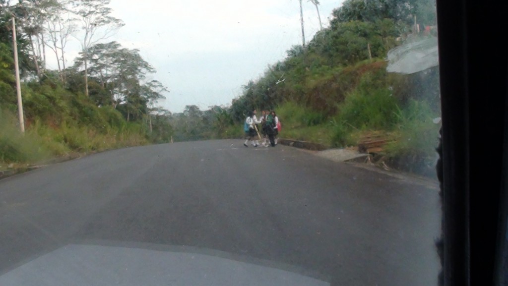 Foto: carretera - Puyo (Pastaza), Ecuador