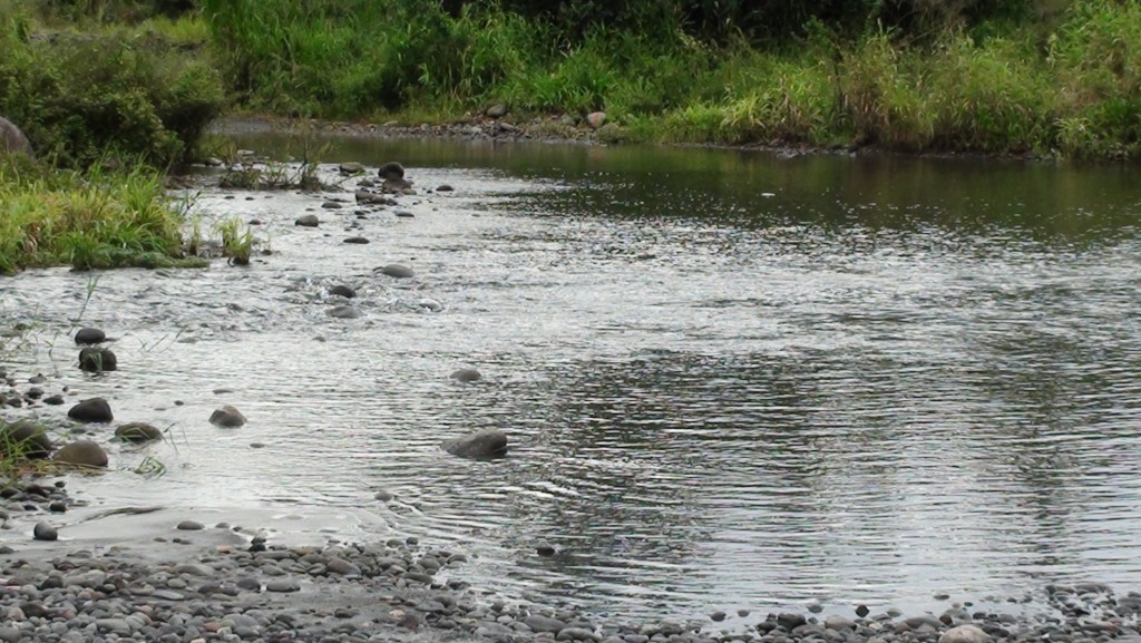Foto: Carreteras lastradas - Puyo (Pastaza), Ecuador