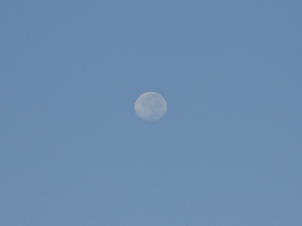 Foto: Luna - Puyo (Pastaza), Ecuador