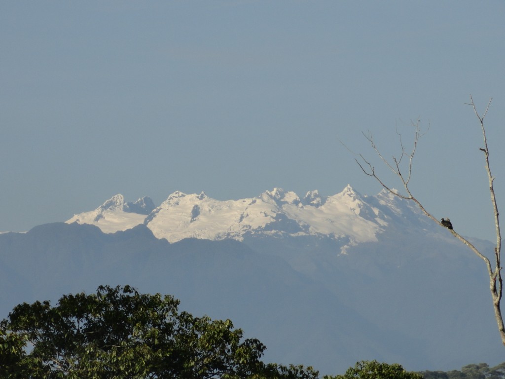 Foto: Los altares - Puyo (Pastaza), Ecuador