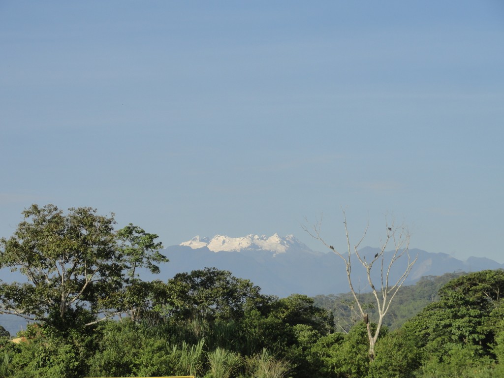 Foto: los altares - Puyo (Pastaza), Ecuador