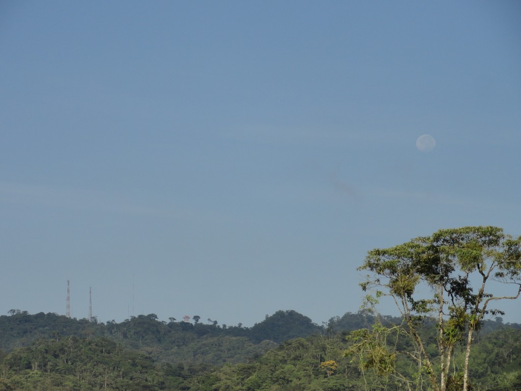 Foto: Paisaje - Puyo (Pastaza), Ecuador
