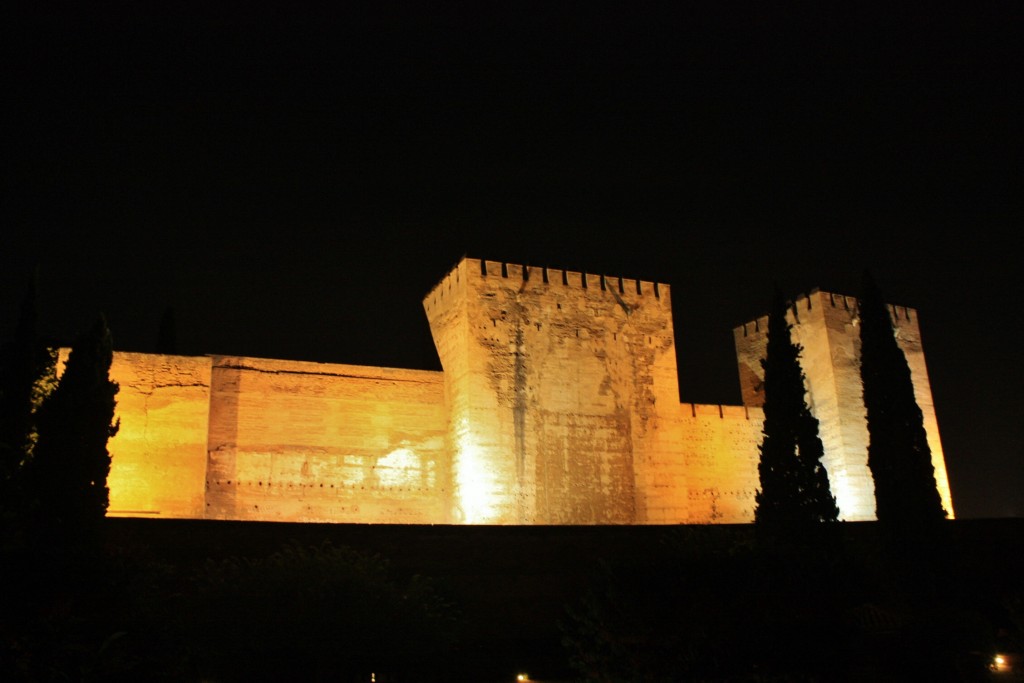 Foto: La Alhambra: visita nocturna - Granada (Andalucía), España