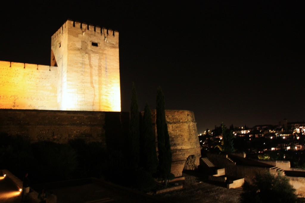 Foto: La Alhambra: visita nocturna - Granada (Andalucía), España