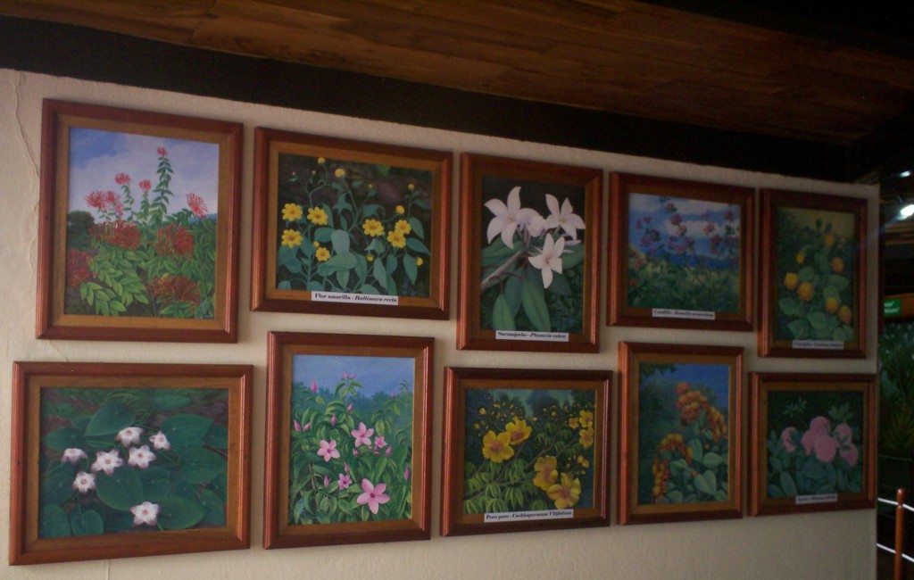 Foto: VOLCAN MASAYA - Masaya, Nicaragua