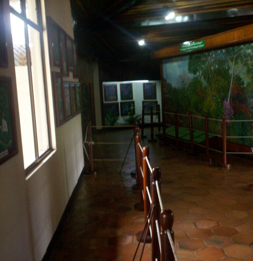 Foto: VOLCAN MASAYA - Masaya, Nicaragua