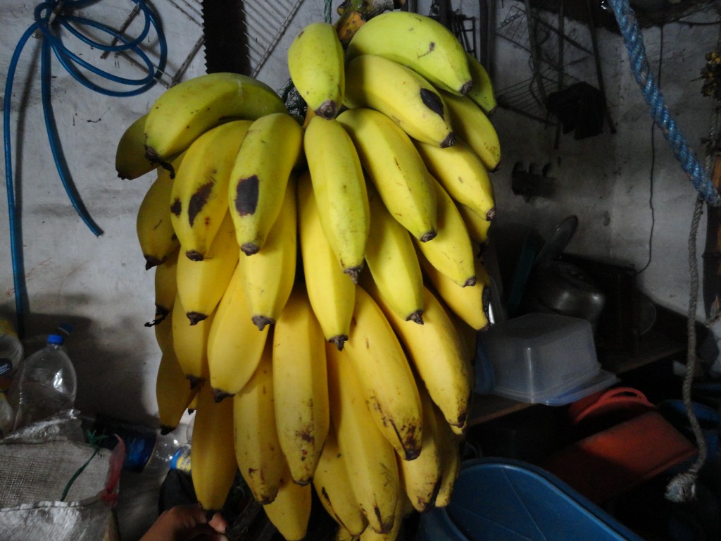 Foto de Puyo (Pastaza), Ecuador