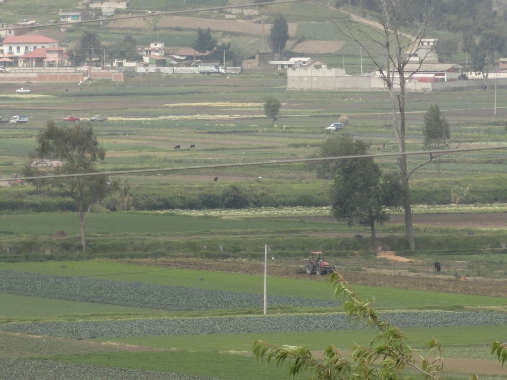 Foto: Paisaje - Colta Cantón, Ecuador