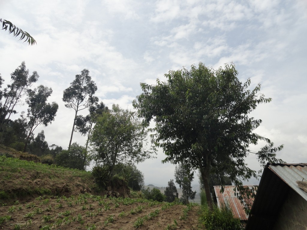 Foto: Paisaje - Colta Cantón, Ecuador