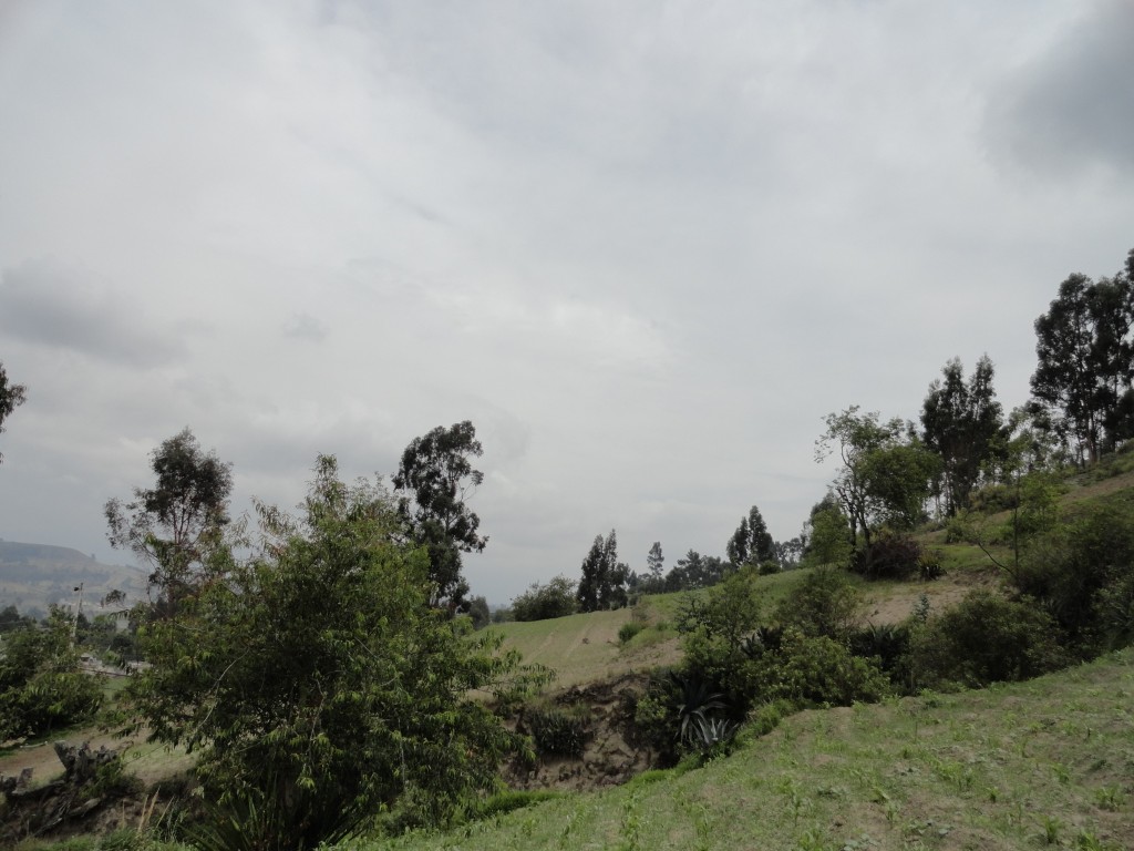 Foto: Paisaje - Colta Cantón (Chimborazo), Ecuador