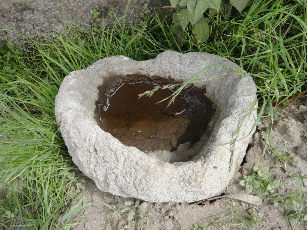 Foto: Piedra - Colta Cantón (Chimborazo), Ecuador