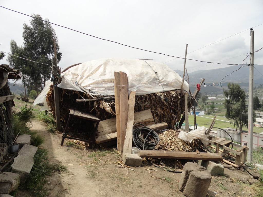 Foto: calcha - Colta Cantón (Chimborazo), Ecuador