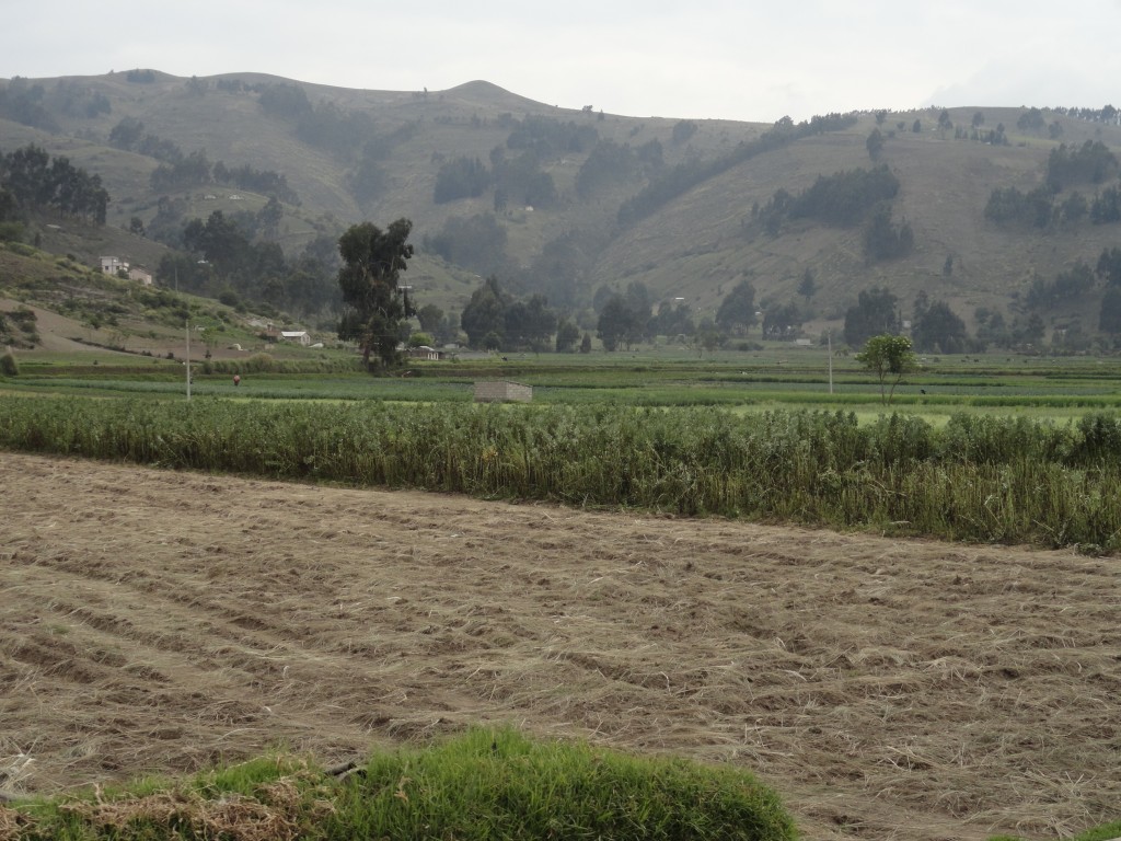 Foto: Paisaje - Colta (Chimborazo), Ecuador