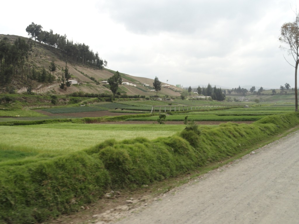 Foto: Paisaje - Colta (Chimborazo), Ecuador