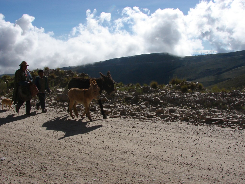 Foto: gente del lugar - Sama (Tarija), Bolivia