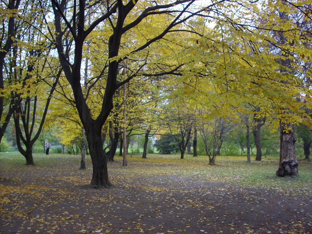 Foto de Budapest, Hungría