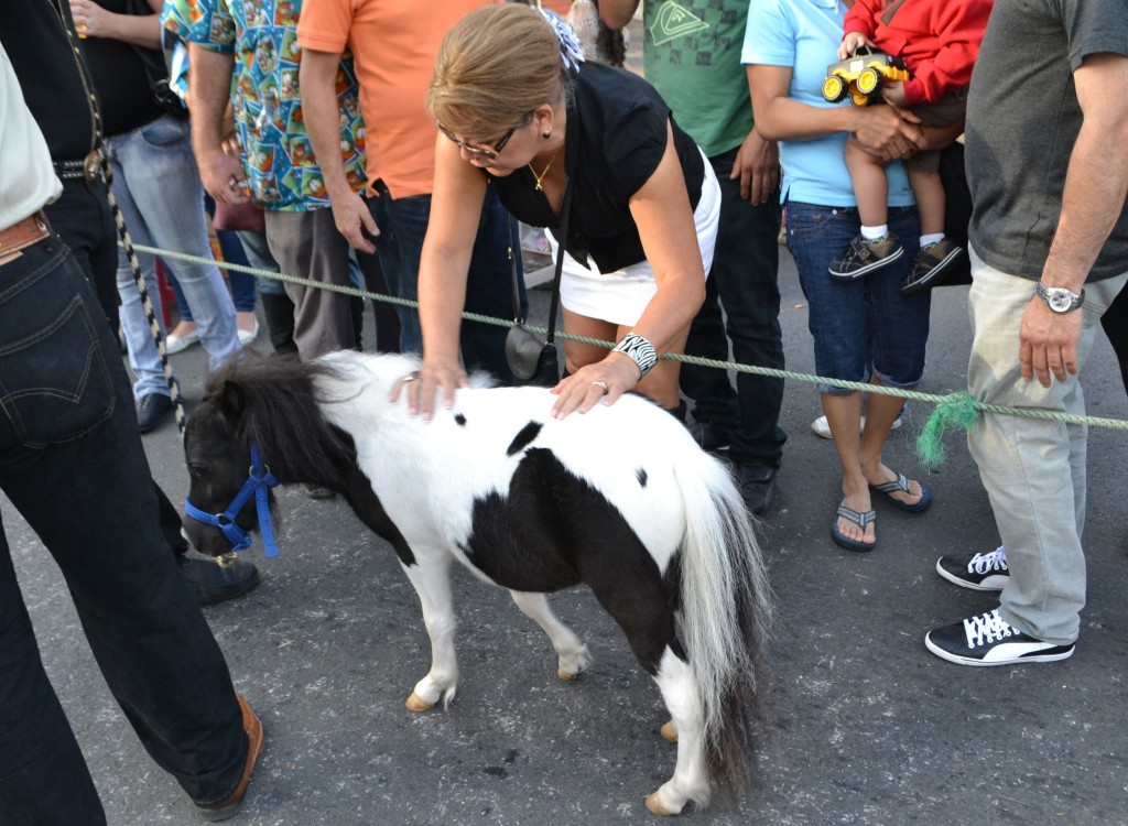 Foto: TOPE DE SAN JOSÉ - San Jose (San José), Costa Rica