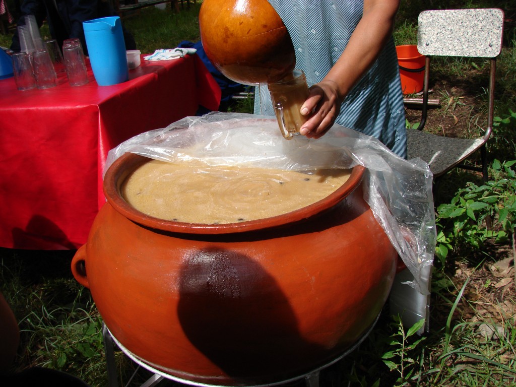 Foto: Aloja de mani - Tarija, Bolivia