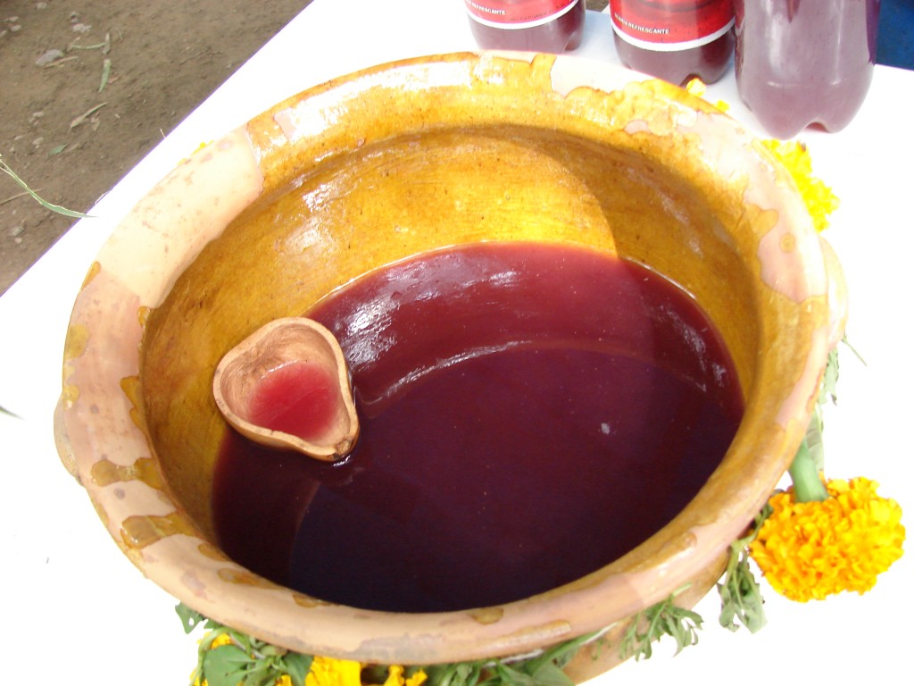 Foto: Aloja de uva - Tarija, Bolivia